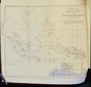 The Native Races of the Indian Archipelago. Papuans.