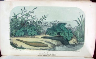A Materia Medica Animalia, Containing the Scientific Analysis, Natural History, and Chemical and Medical Properties and Uses of the Substances That Are the Products of Beasts, Birds, Fishes, or Insects. Illustrated by Colored Engravings of Original Drawings Copied from Nature.