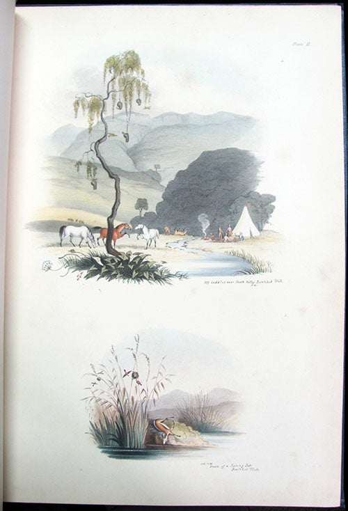 Item #26424 South African Sketches: Illustrative of the Wild Life of a Hunter on the Frontier of the Cape Colony. Henry Butler.