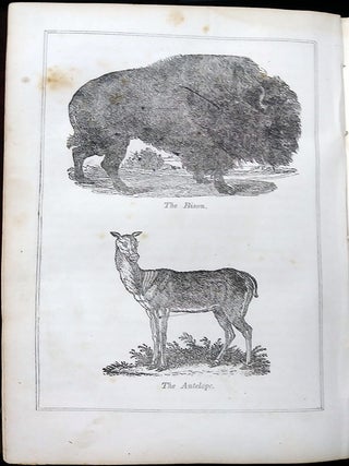 Four Years in a Government Exploring Expedition; to the Island of Madeira, Cape Verd Islands, Brazil, Coast of Patagonia, Chili, Peru, Paumato Group, Society Islands, Navigator Group, Australia, Antarctic Continent, New Zealand, Friendly Islands, Fejee Group, Sandwich Islands, Northwest Coast of America, Oregon, California, East Indies, St. Helena, &c., &c. In One Volume.