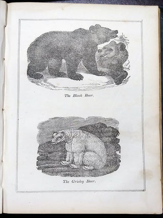 Four Years in a Government Exploring Expedition; to the Island of Madeira, Cape Verd Islands, Brazil, Coast of Patagonia, Chili, Peru, Paumato Group, Society Islands, Navigator Group, Australia, Antarctic Continent, New Zealand, Friendly Islands, Fejee Group, Sandwich Islands, Northwest Coast of America, Oregon, California, East Indies, St. Helena, &c., &c. In One Volume.