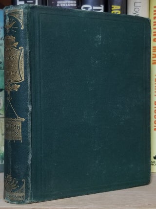 Item #31916 Birds of a Feather. Mary E. Bradley