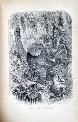 Lost in the Jungle. Narrated for Young People. With Numerous Engravings.