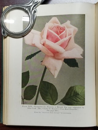 The Rose in America. Illustrated with Photographs from the Author's Garden and from Other Gardens. (Signed Copy).