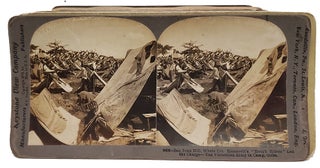 Collection of Eighty-One Stereoviews/Stereographs Featuring American Presidents, War Related Images, and More.