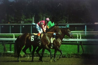 An Archive of Hundreds of Color Slides Featuring Famous Jockeys and Thorougbred Horses.