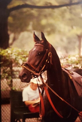 An Archive of Hundreds of Color Slides Featuring Famous Jockeys and Thorougbred Horses.