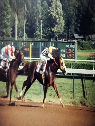 An Archive of Hundreds of Color Slides Featuring Famous Jockeys and Thorougbred Horses.