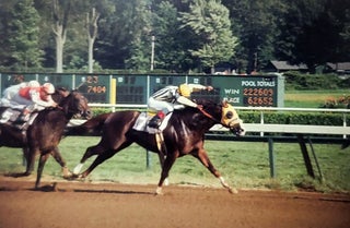 An Archive of Hundreds of Color Slides Featuring Famous Jockeys and Thorougbred Horses.