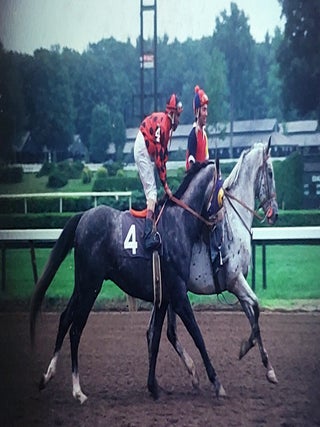 An Archive of Hundreds of Color Slides Featuring Famous Jockeys and Thorougbred Horses.