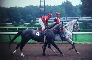 An Archive of Hundreds of Color Slides Featuring Famous Jockeys and Thorougbred Horses.