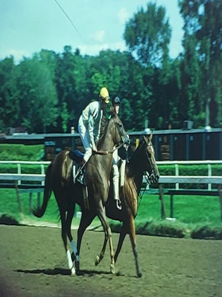 An Archive of Hundreds of Color Slides Featuring Famous Jockeys and Thorougbred Horses.