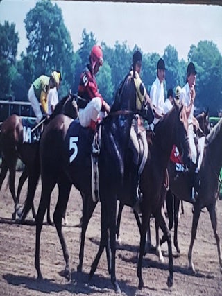 An Archive of Hundreds of Color Slides Featuring Famous Jockeys and Thorougbred Horses.